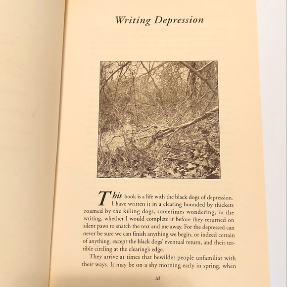 5 for $25- In The Jaws of the Black Dogs by John Bentley Mays - Picture 4 of 4